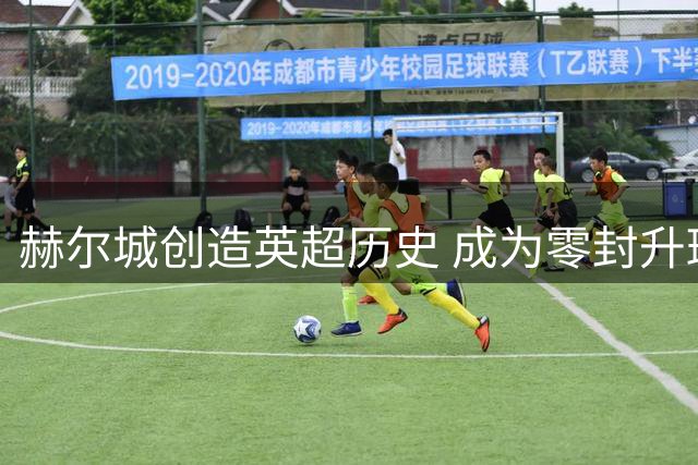赫尔城创造英超历史 成为零封升班马第三人